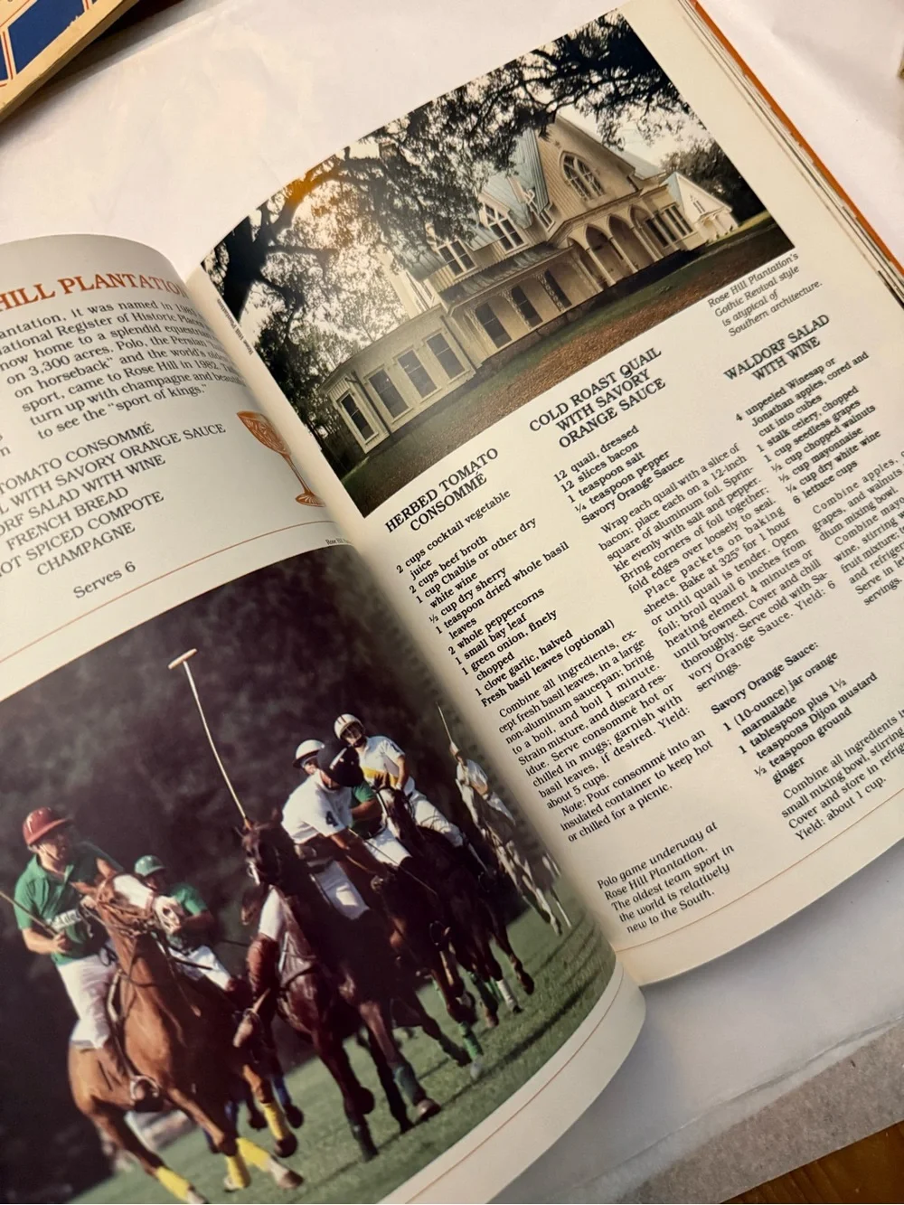 Vintage Sporting Scene Cookbook - Purple Cover Hunting outdoor